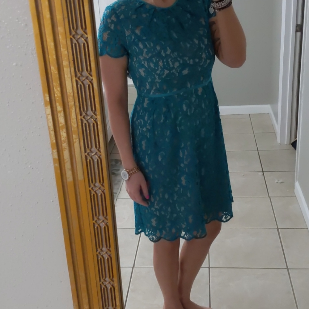 Blue Lace Cocktail Short Sleeve Dress